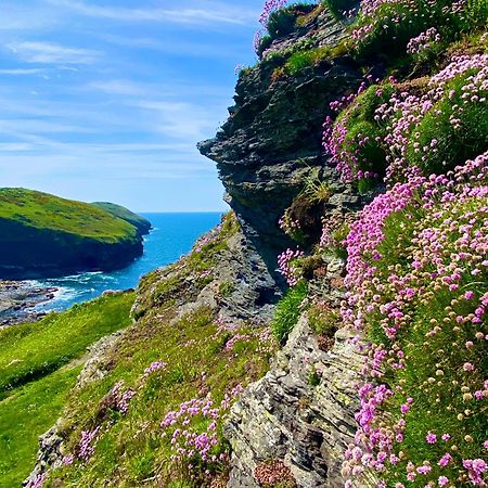 Polrunny Farm Blackberry Cottage - Cornwall Bliss In Sight Of The Sea Boscastle Luaran gambar