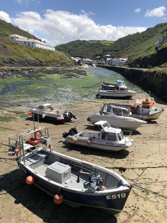 Polrunny Farm Blackberry Cottage - Cornwall Bliss In Sight Of The Sea Boscastle Luaran gambar
