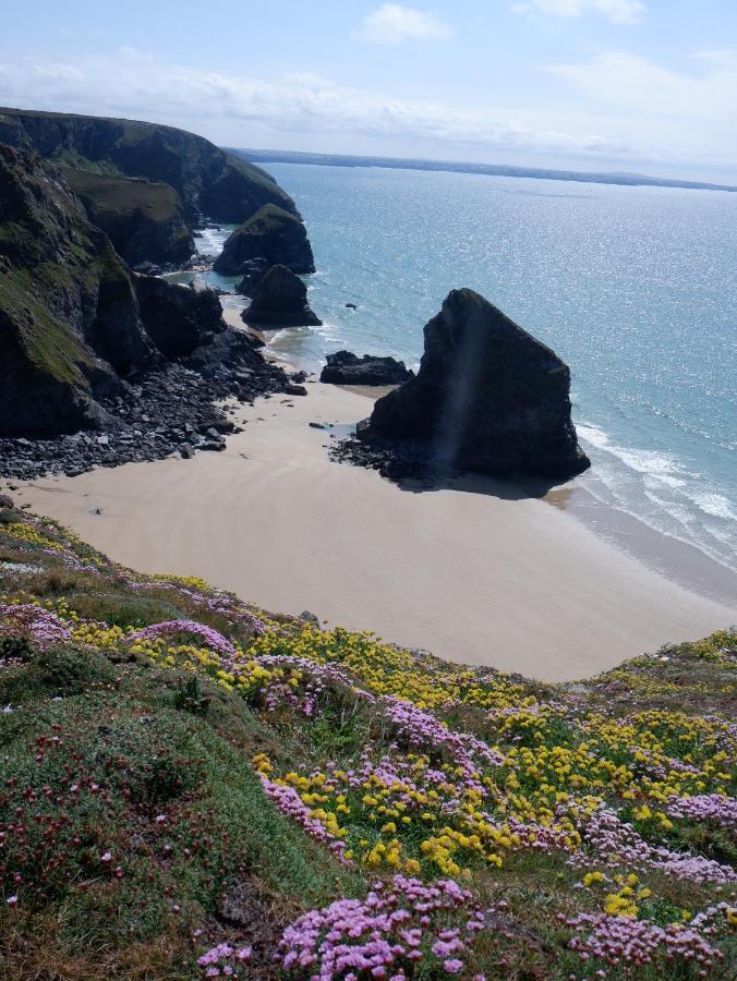 Polrunny Farm Blackberry Cottage - Cornwall Bliss In Sight Of The Sea Boscastle Luaran gambar