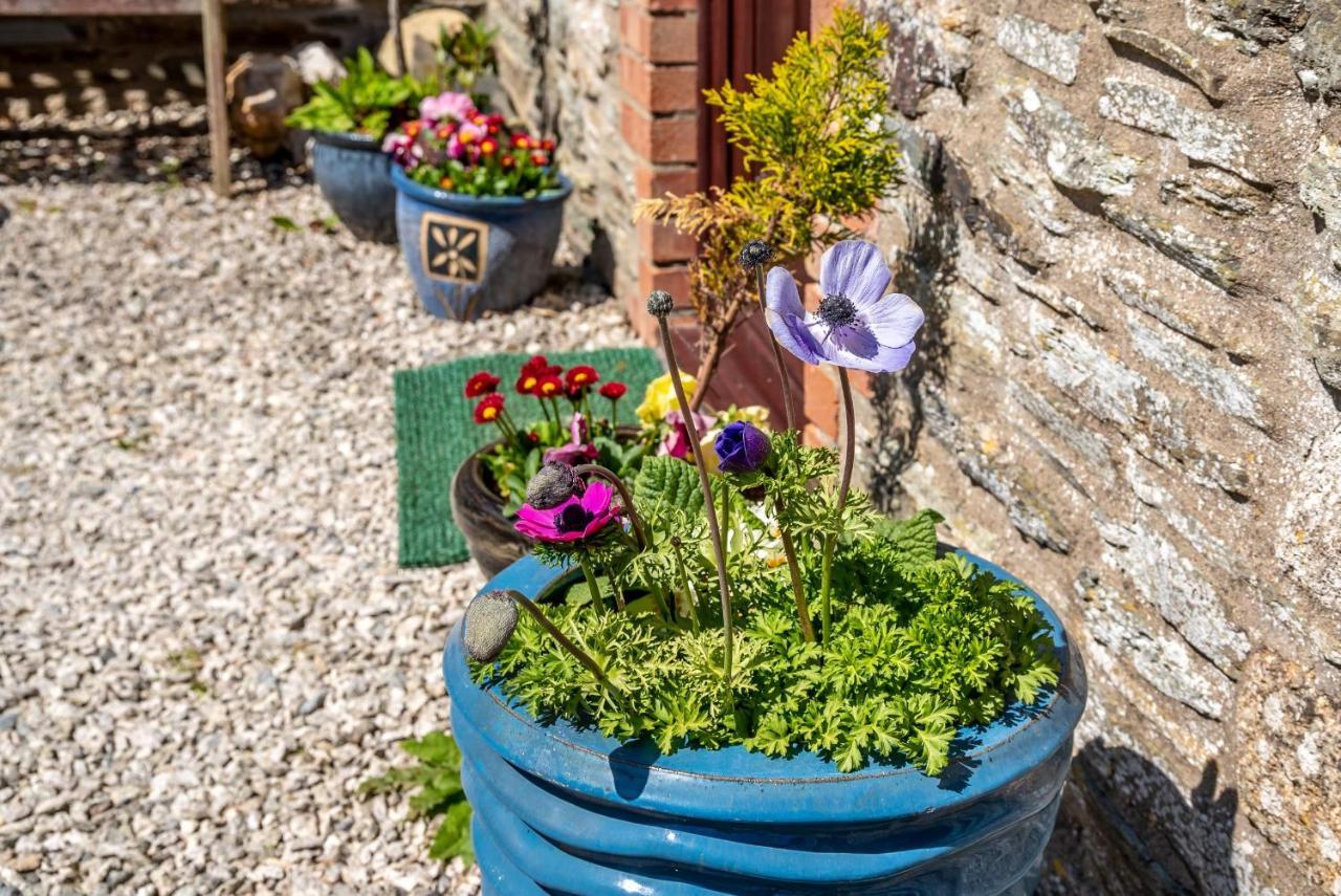 Polrunny Farm Blackberry Cottage - Cornwall Bliss In Sight Of The Sea Boscastle Luaran gambar