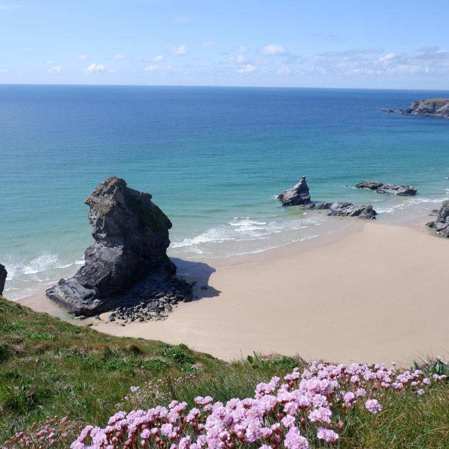 Polrunny Farm Blackberry Cottage - Cornwall Bliss In Sight Of The Sea Boscastle Luaran gambar