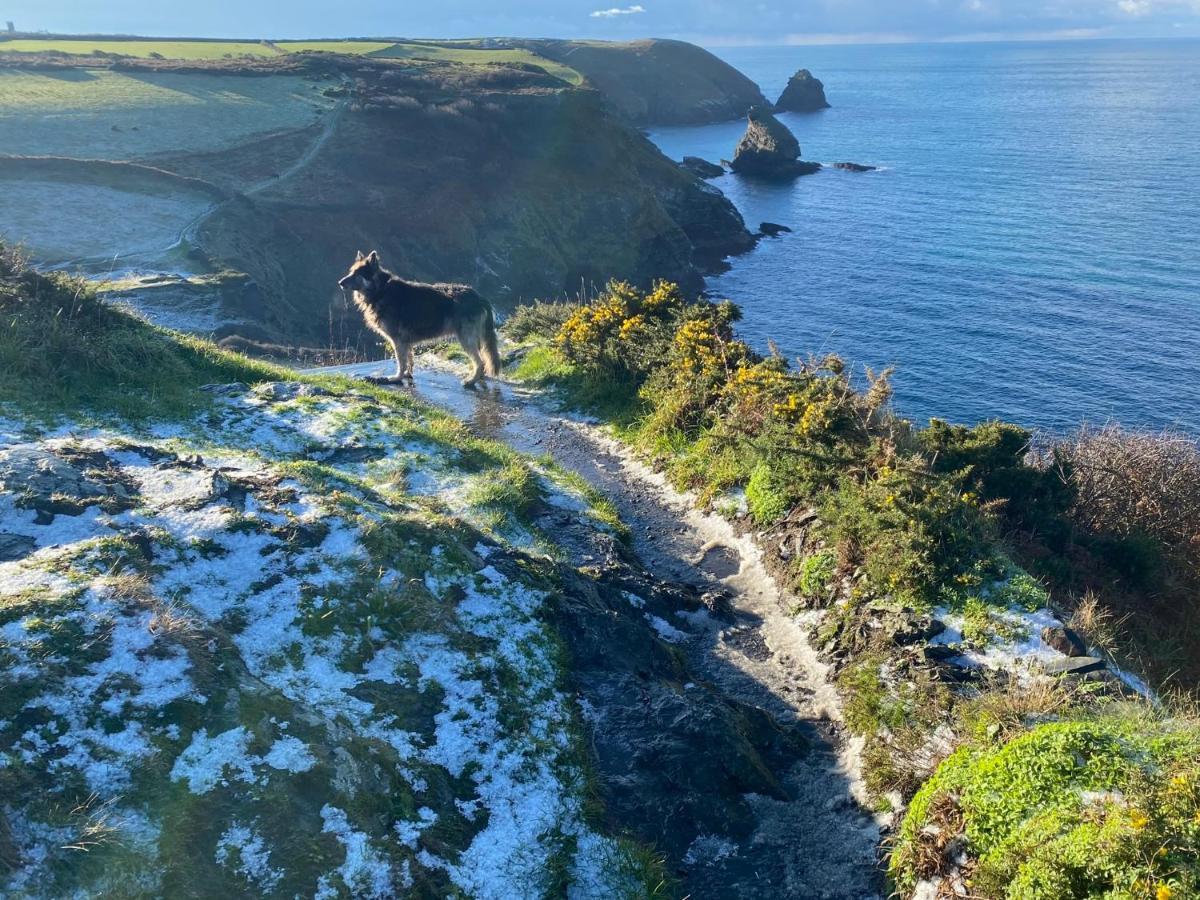 Polrunny Farm Blackberry Cottage - Cornwall Bliss In Sight Of The Sea Boscastle Luaran gambar
