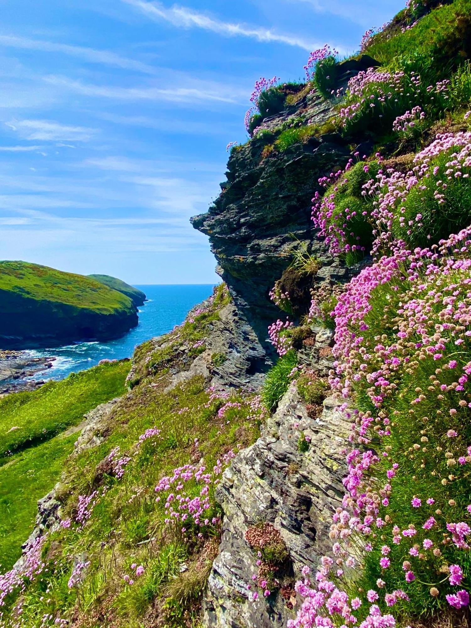 Polrunny Farm Blackberry Cottage - Cornwall Bliss In Sight Of The Sea Boscastle Luaran gambar